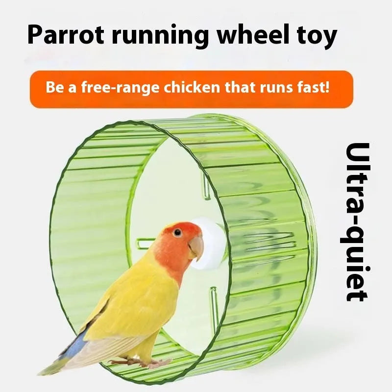 A transparent plastic parrot running wheel exercise toy for bird cages.