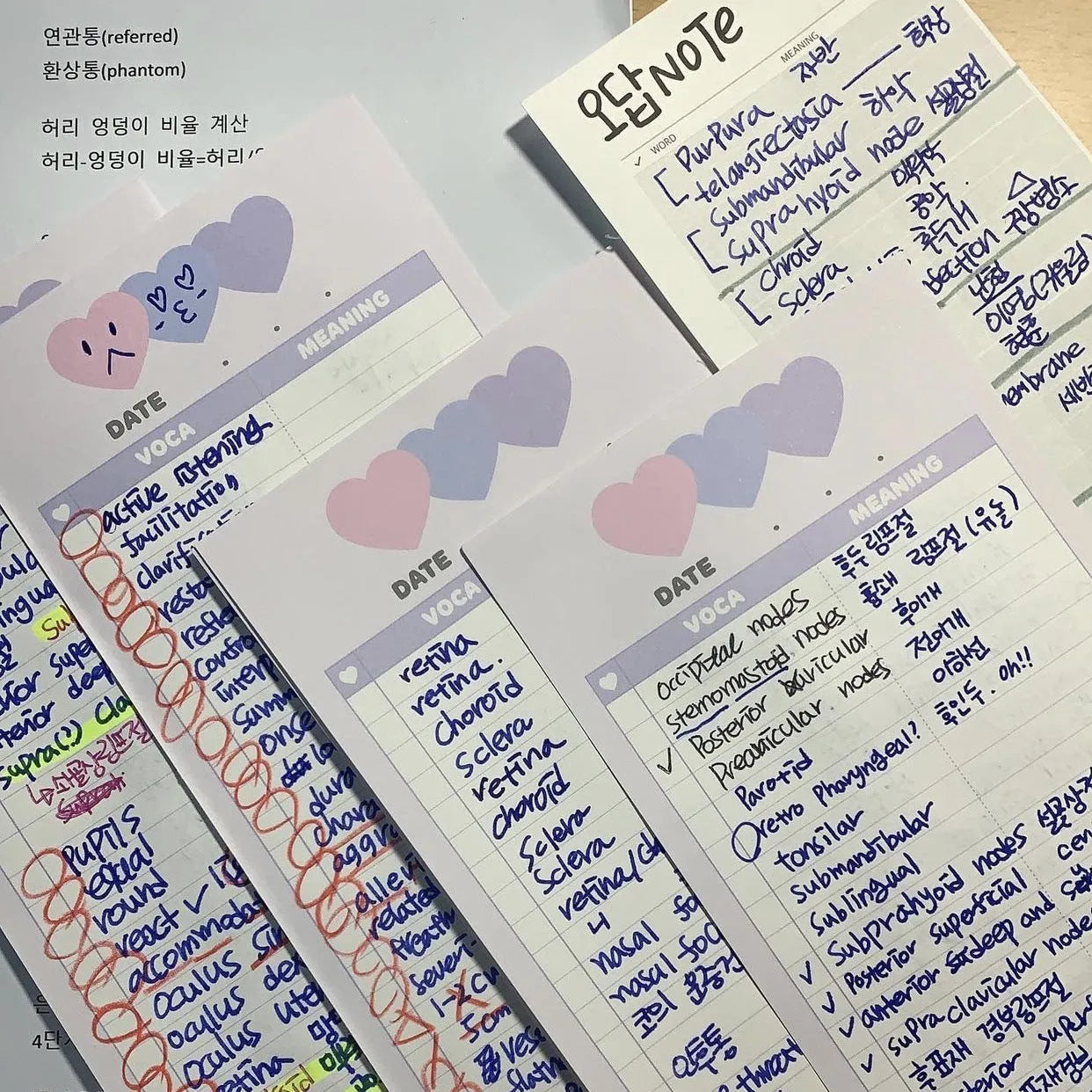 Half-B5 size vertical notepad with coloured cover, shown open to show lined pages.