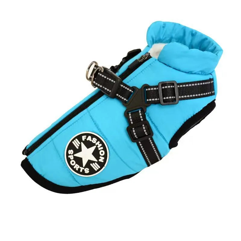 A red waterproof dog coat with an integrated harness on a Labrador retriever.