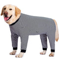 Striped four-legged dog shirt on golden retriever in sky blue colour