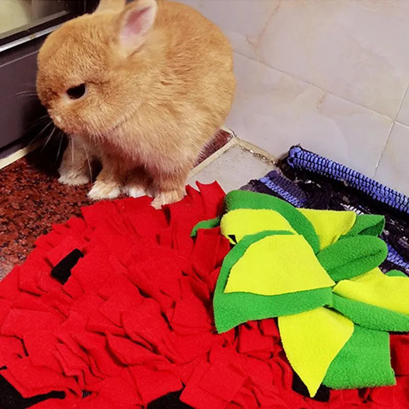 Red strawberry-shaped snuffle mat for dogs and cats as a slow feeder foraging toy.