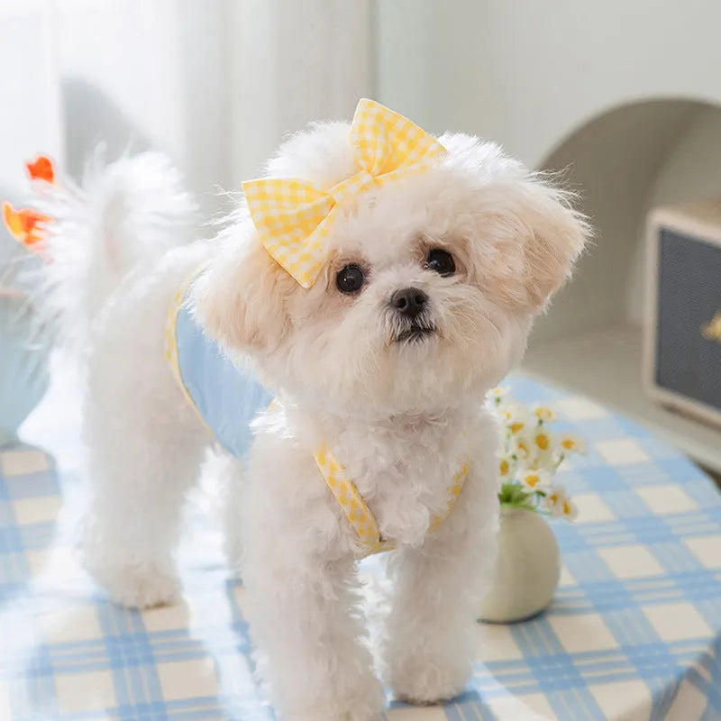 Small dog wearing a blue elastic vest with heart relief texture and bow suspenders.