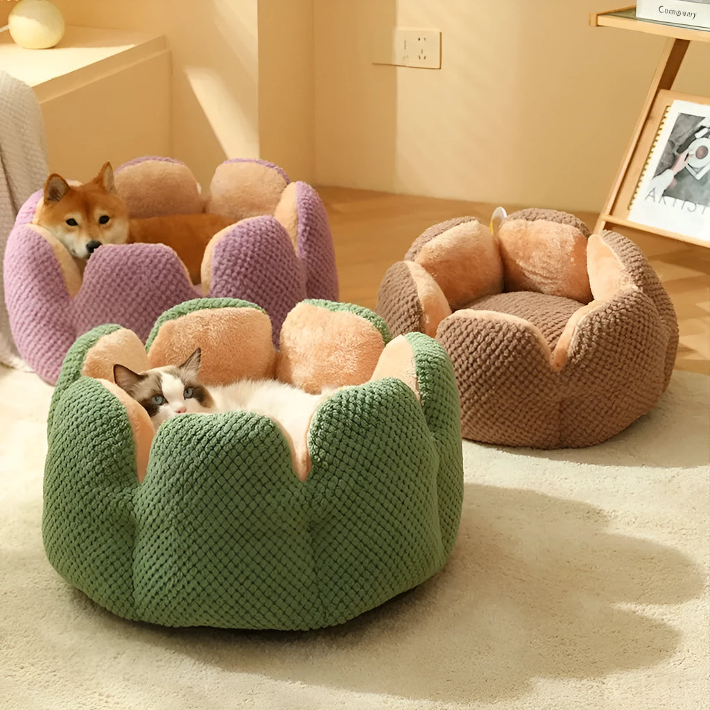 Cactus petal shaped plush pet kennel in green colour with enclosed sleeping space
