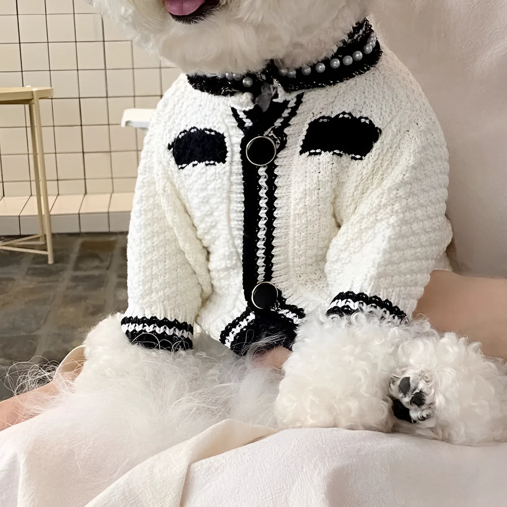 Korean style white puppy sweater with pearl collar on small dog, showing princess style design