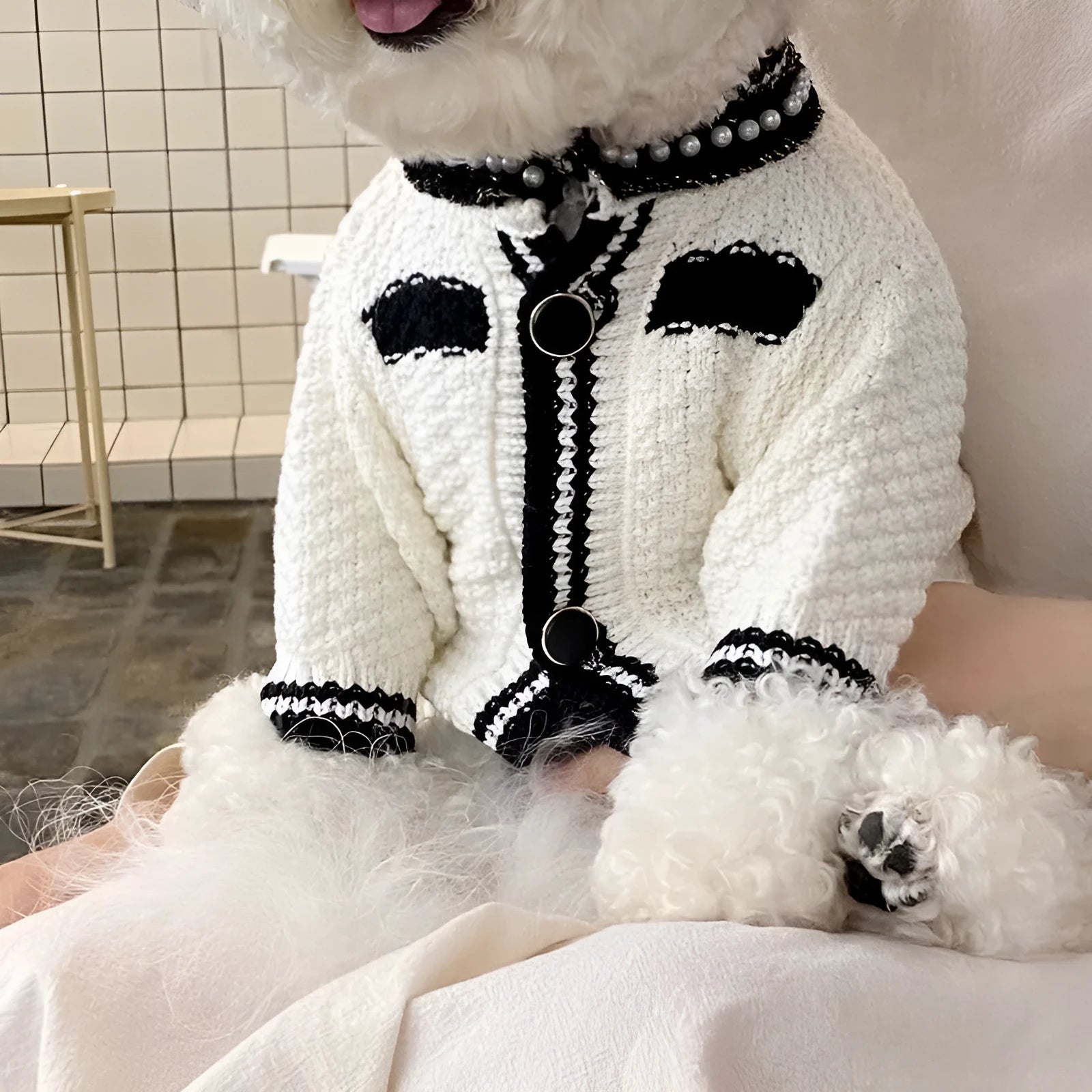 Korean style white puppy sweater with pearl collar on small dog, showing princess style design