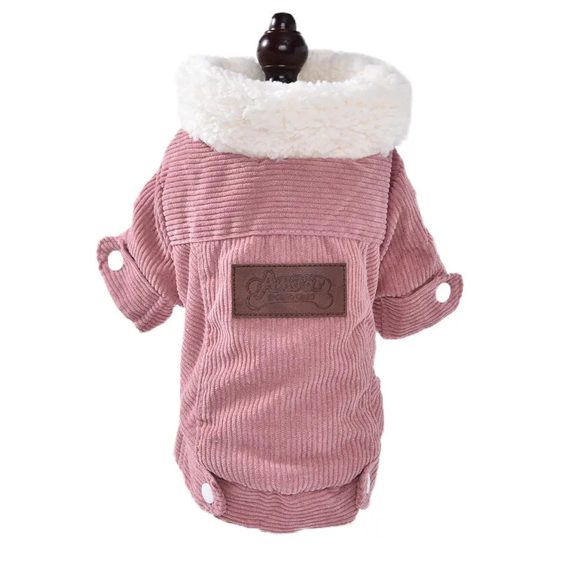 Lambswool grey dog vest with wool lining for autumn and winter wear.
