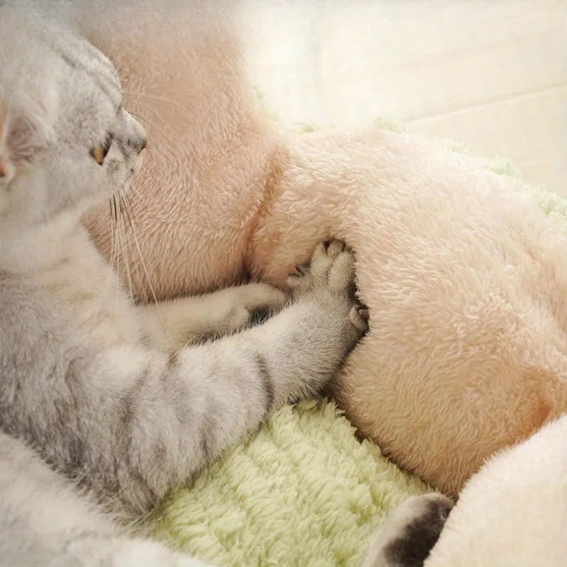 Green cactus design soft pet bed for cats or small dogs on a wooden floor.