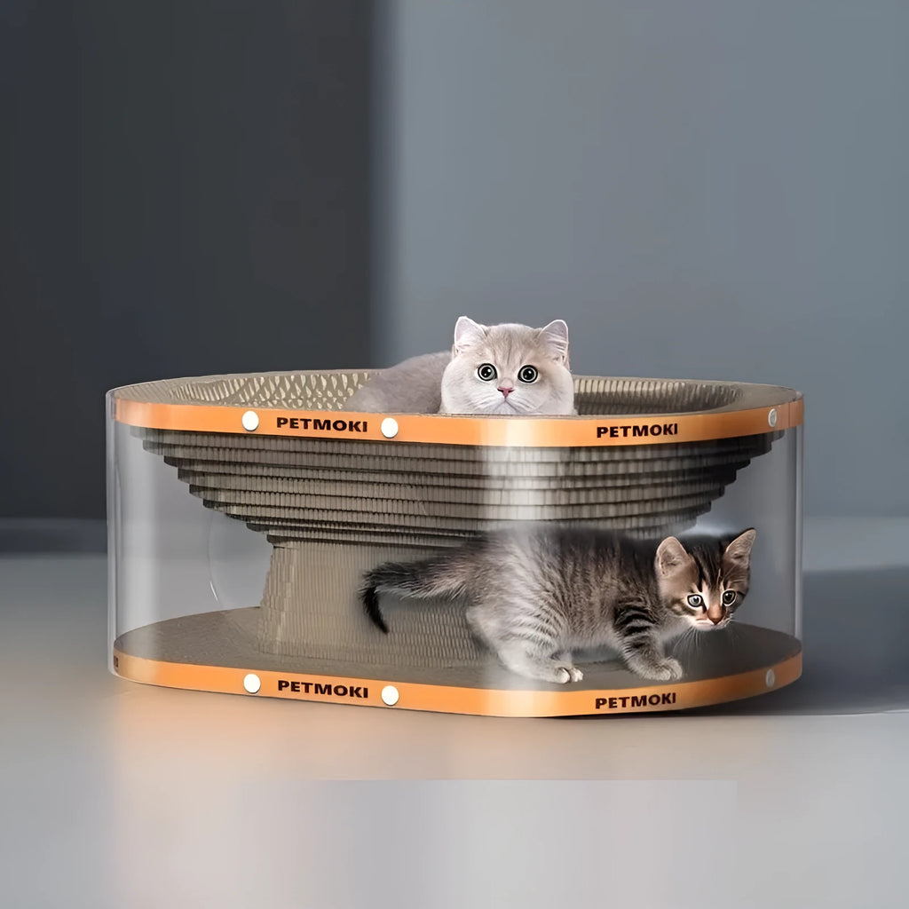 White transparent Diamond 2-in-1 cat nest tunnel with integrated scratch board, dimensions 58x45x23cm