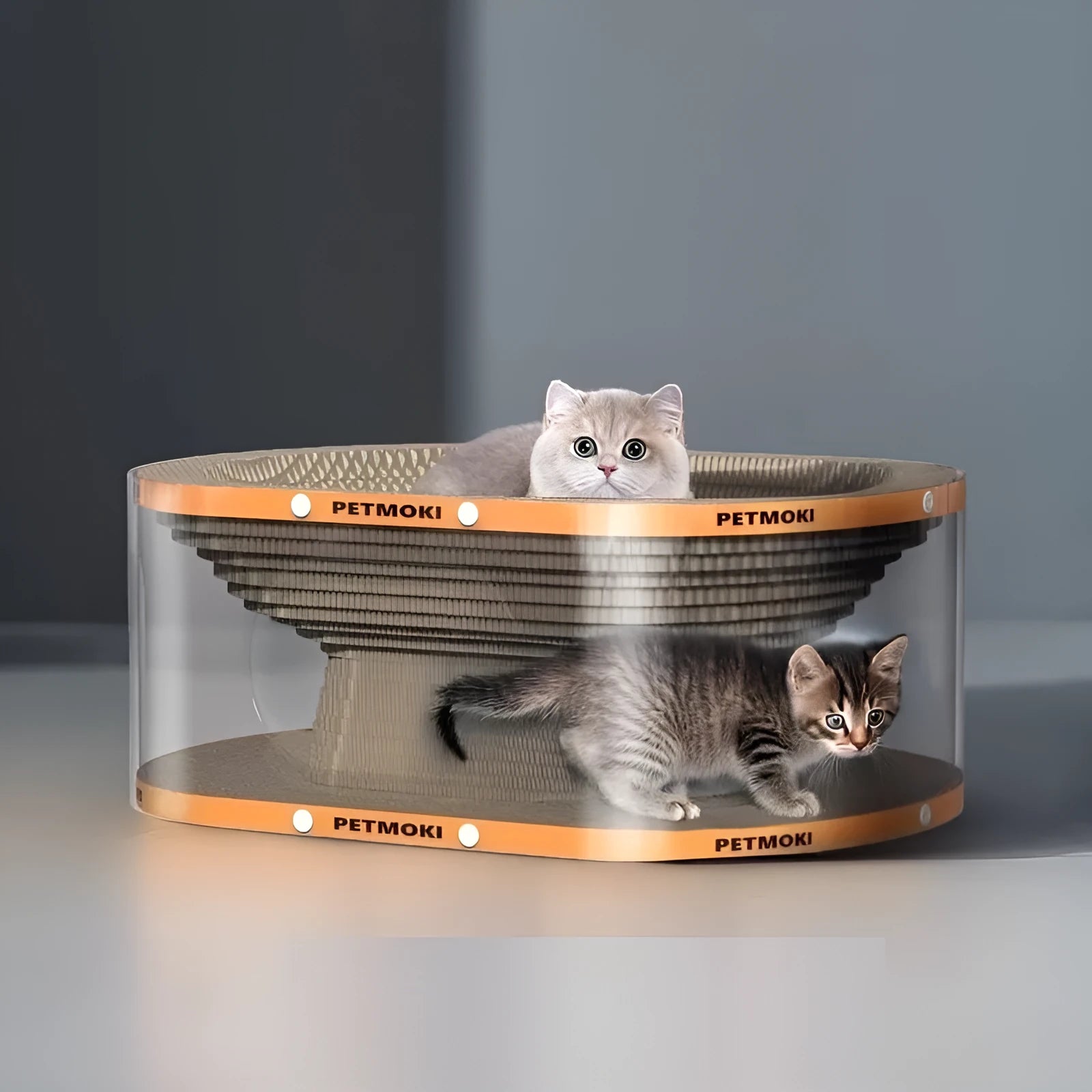 White transparent Diamond 2-in-1 cat nest tunnel with integrated scratch board, dimensions 58x45x23cm