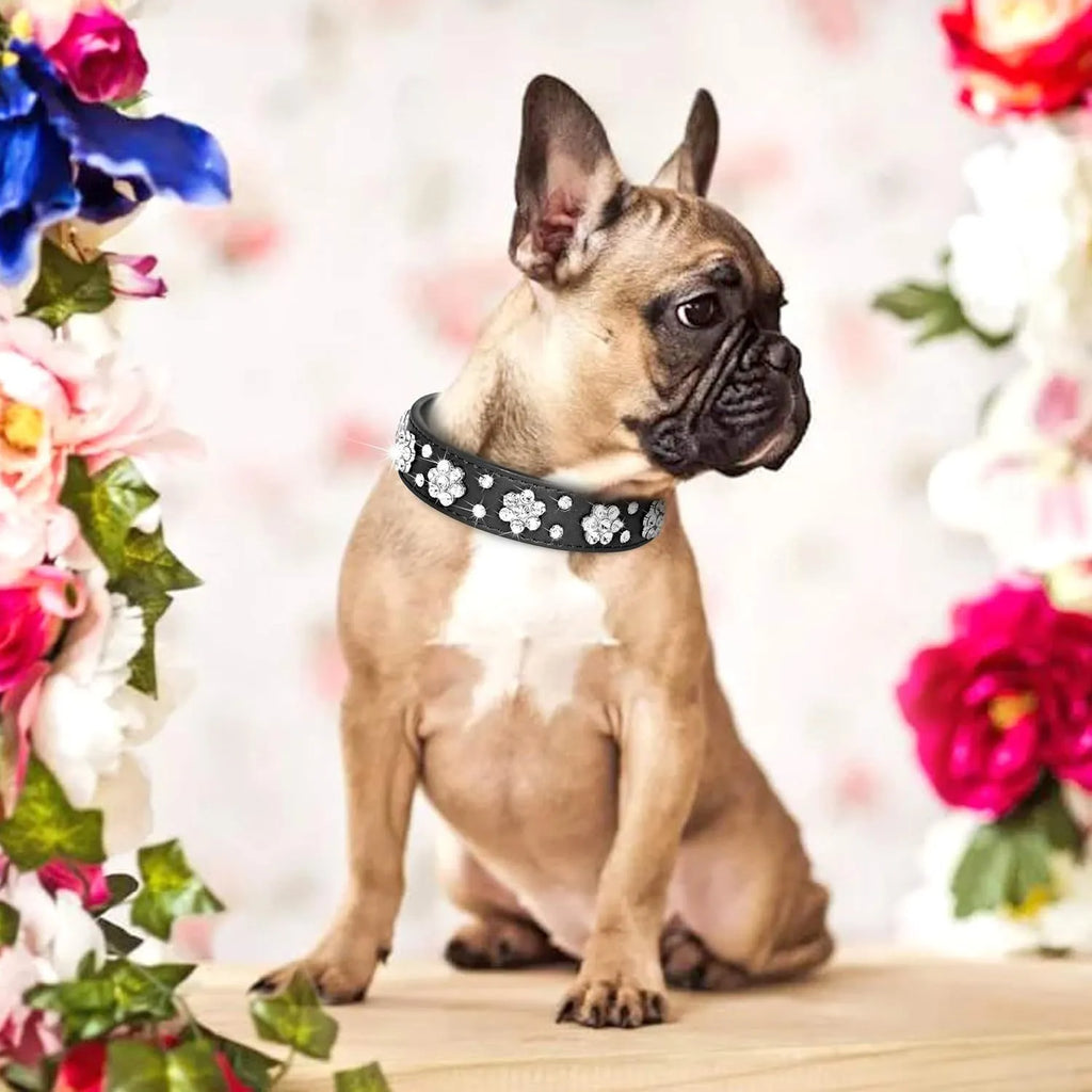 A black PU leather dog collar decorated with sparkling rhinestone flowers and metal studs, showing the adjustable eyelets and metal D-ring.