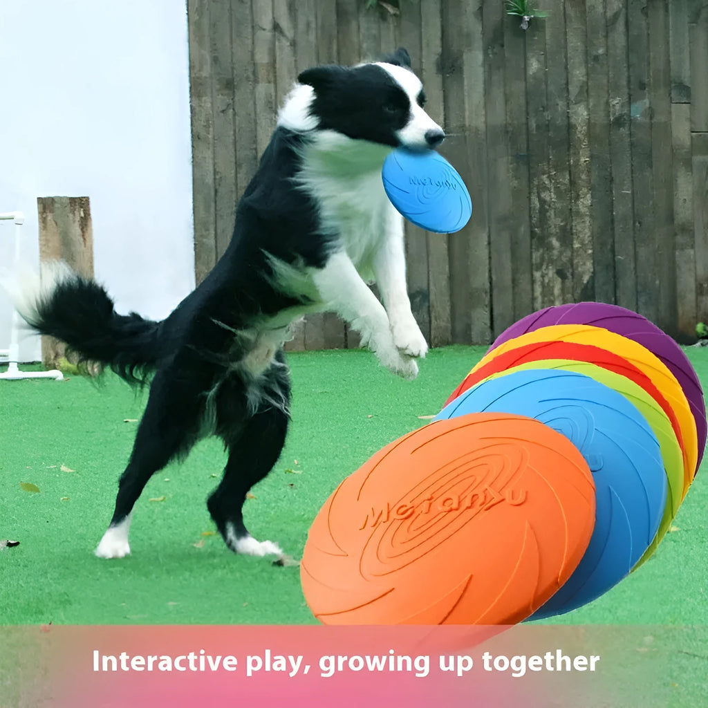 Soft rubber dog frisbee toy in red, blue, and green colours showing small, medium, and large size options