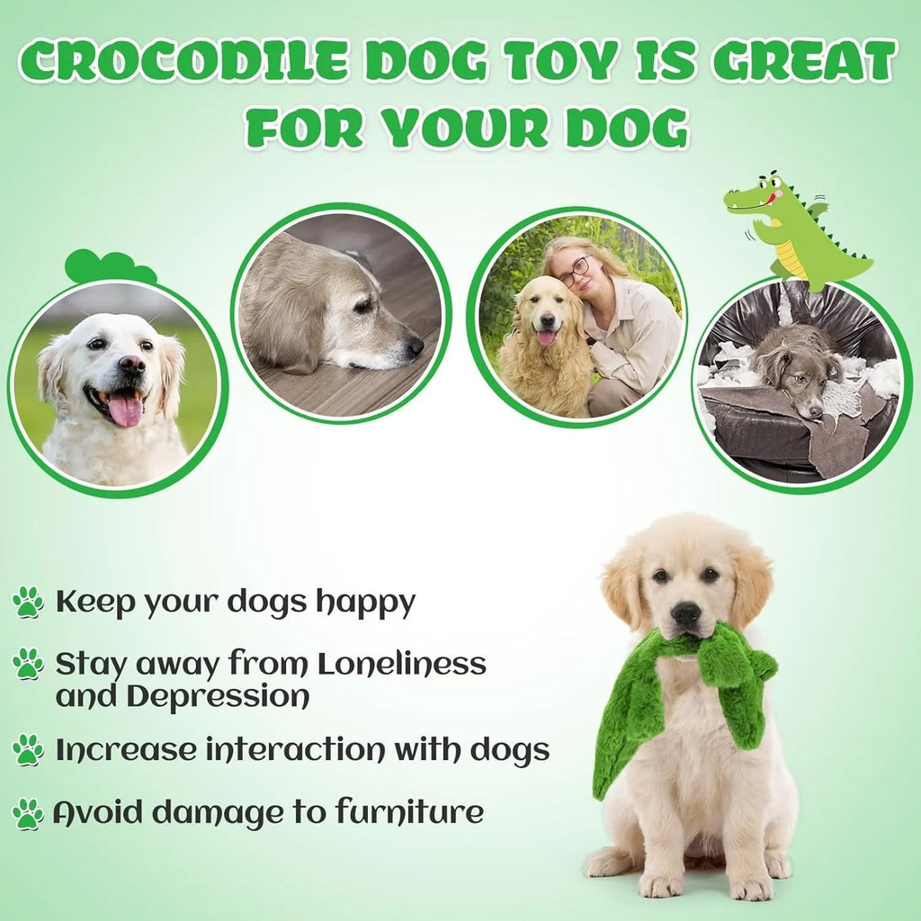 Green crocodile plush dog toy with squeaker and crinkle paper tail on a white background.
