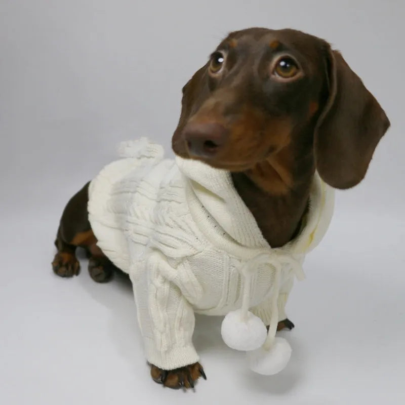 Two-leg hooded sweater for dogs in beige with hood and blended fabric