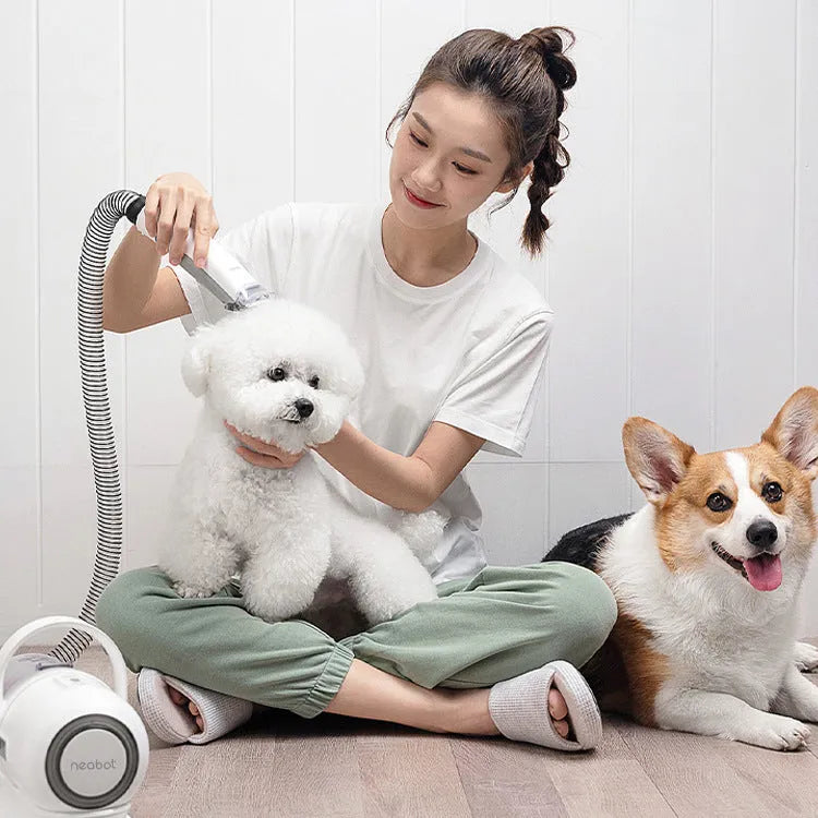 White and green pet grooming tool with vacuum suction, 9000Pa, 1000ml dust box, ABS body, 290x132x210mm
