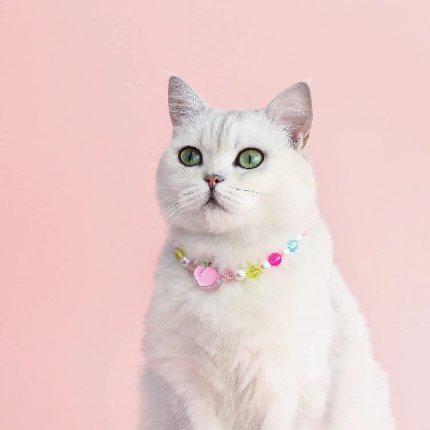 Colourful plastic bead cat necklace on a white background, showing peach, rainbow, and small flower pattern options.